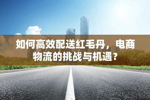 如何高效配送红毛丹，电商物流的挑战与机遇？