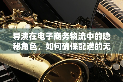 导演在电子商务物流中的隐秘角色，如何确保配送的无缝衔接？