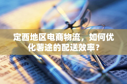 定西地区电商物流，如何优化薯途的配送效率？