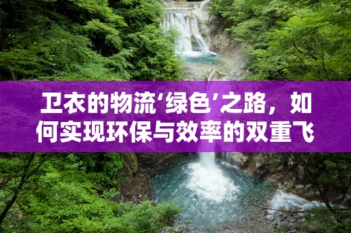 卫衣的物流‘绿色’之路，如何实现环保与效率的双重飞跃？