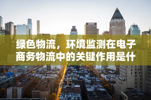 绿色物流，环境监测在电子商务物流中的关键作用是什么？