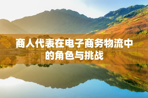 商人代表在电子商务物流中的角色与挑战