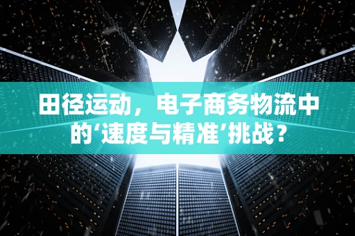田径运动，电子商务物流中的‘速度与精准’挑战？