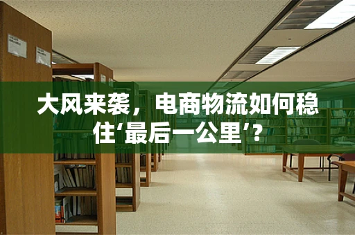 大风来袭，电商物流如何稳住‘最后一公里’？