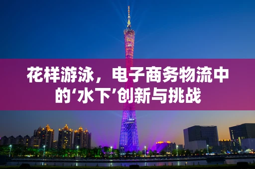 花样游泳，电子商务物流中的‘水下’创新与挑战