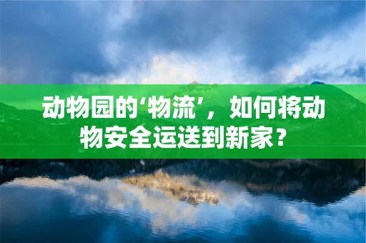动物园的‘物流’，如何将动物安全运送到新家？