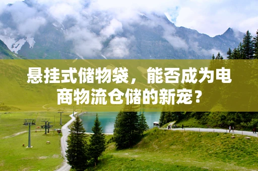 悬挂式储物袋，能否成为电商物流仓储的新宠？