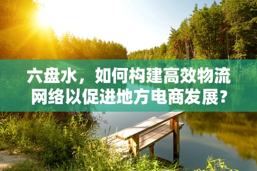 六盘水，如何构建高效物流网络以促进地方电商发展？