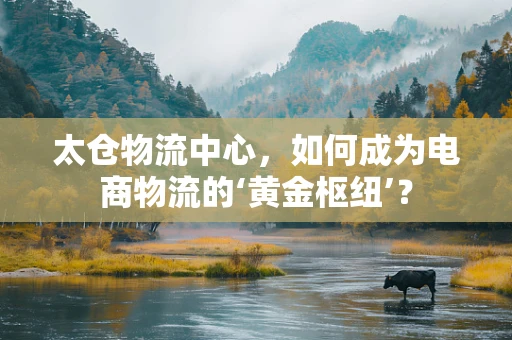 太仓物流中心，如何成为电商物流的‘黄金枢纽’？