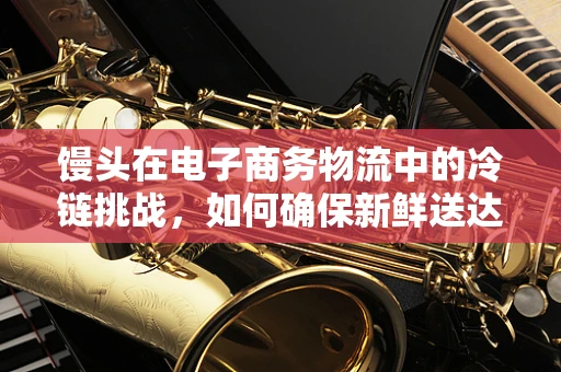 馒头在电子商务物流中的冷链挑战，如何确保新鲜送达？