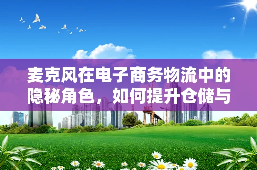 麦克风在电子商务物流中的隐秘角色，如何提升仓储与配送的沟通效率？