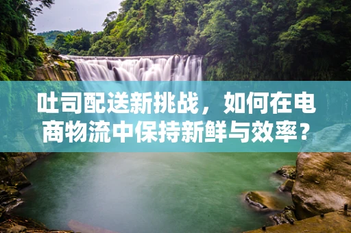 吐司配送新挑战，如何在电商物流中保持新鲜与效率？