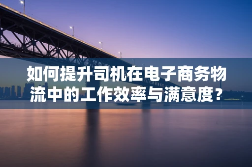 如何提升司机在电子商务物流中的工作效率与满意度？