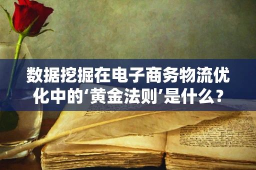 数据挖掘在电子商务物流优化中的‘黄金法则’是什么？