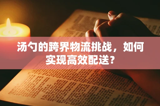 汤勺的跨界物流挑战，如何实现高效配送？