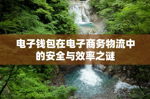 电子钱包在电子商务物流中的安全与效率之谜