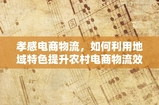 孝感电商物流，如何利用地域特色提升农村电商物流效率？