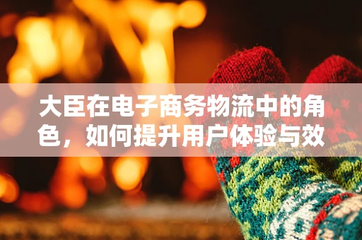 大臣在电子商务物流中的角色，如何提升用户体验与效率？