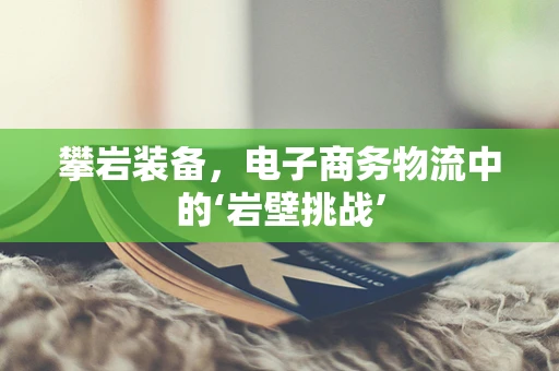攀岩装备，电子商务物流中的‘岩壁挑战’