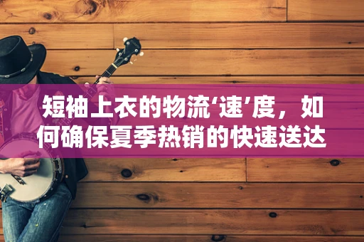 短袖上衣的物流‘速’度，如何确保夏季热销的快速送达？