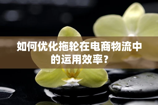 如何优化拖轮在电商物流中的运用效率？