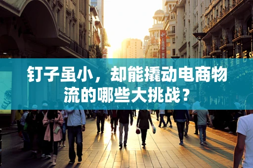 钉子虽小，却能撬动电商物流的哪些大挑战？