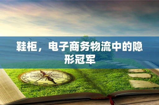 鞋柜，电子商务物流中的隐形冠军