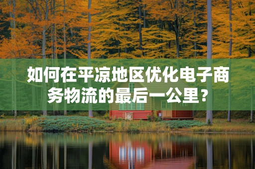 如何在平凉地区优化电子商务物流的最后一公里？