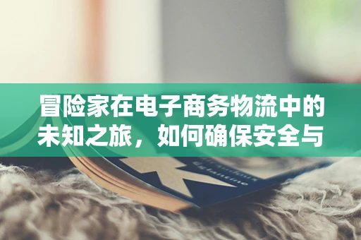 冒险家在电子商务物流中的未知之旅，如何确保安全与效率的平衡？