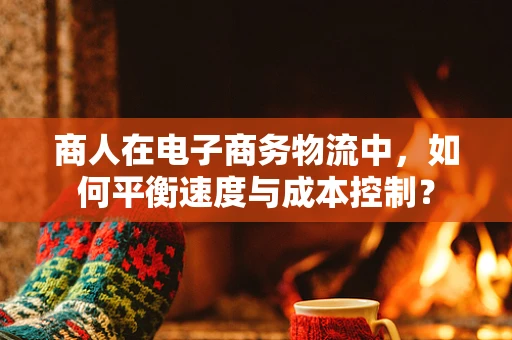 商人在电子商务物流中，如何平衡速度与成本控制？