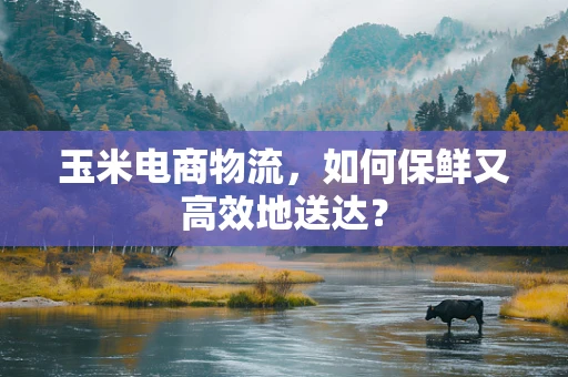 玉米电商物流，如何保鲜又高效地送达？