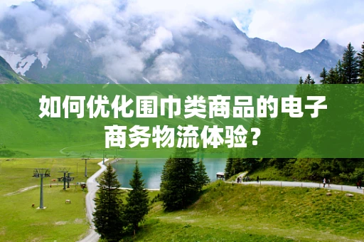如何优化围巾类商品的电子商务物流体验？