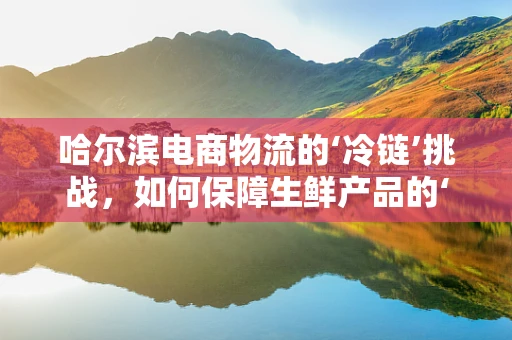 哈尔滨电商物流的‘冷链’挑战，如何保障生鲜产品的‘鲜’行天下？