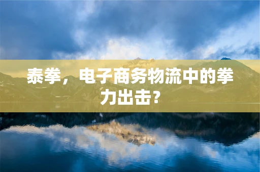 泰拳，电子商务物流中的拳力出击？
