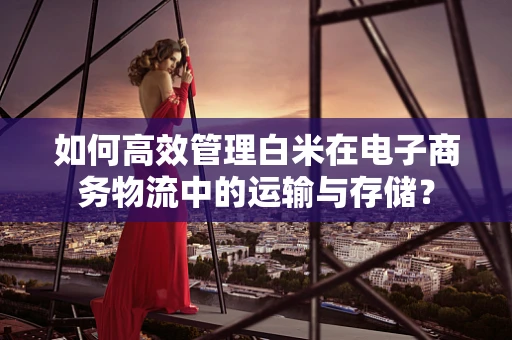 如何高效管理白米在电子商务物流中的运输与存储？
