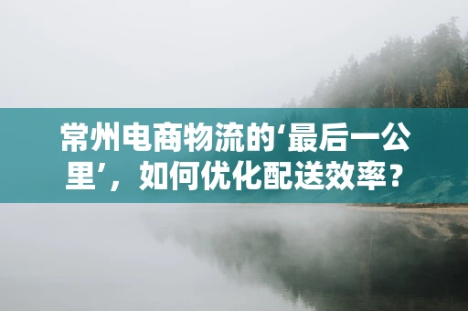 常州电商物流的‘最后一公里’，如何优化配送效率？