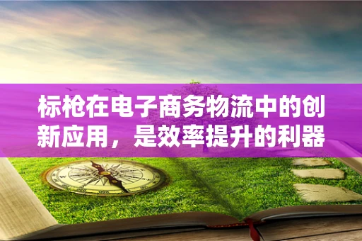 标枪在电子商务物流中的创新应用，是效率提升的利器还是市场误读的产物？