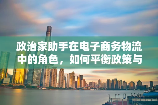 政治家助手在电子商务物流中的角色，如何平衡政策与效率？