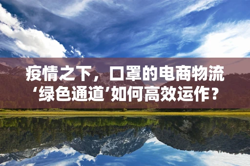 疫情之下，口罩的电商物流‘绿色通道’如何高效运作？