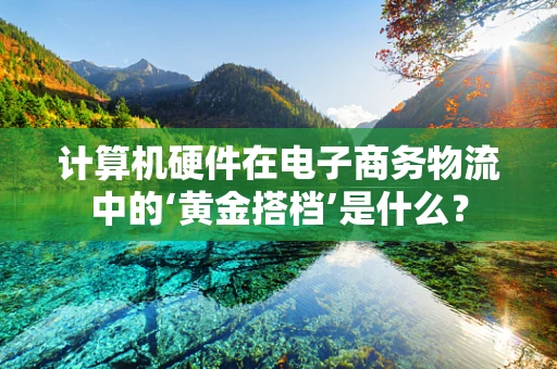 计算机硬件在电子商务物流中的‘黄金搭档’是什么？