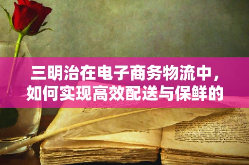 三明治在电子商务物流中，如何实现高效配送与保鲜的完美平衡？