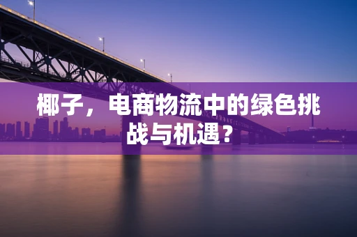 椰子，电商物流中的绿色挑战与机遇？