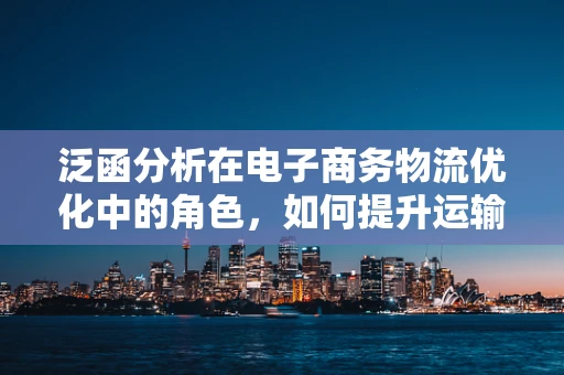 泛函分析在电子商务物流优化中的角色，如何提升运输效率？