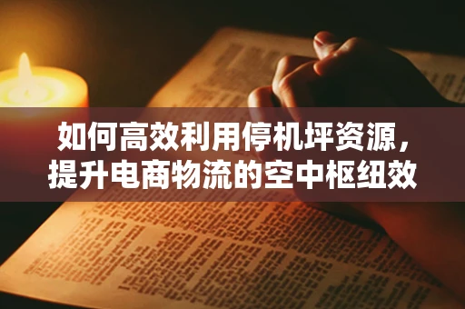 如何高效利用停机坪资源，提升电商物流的空中枢纽效率？