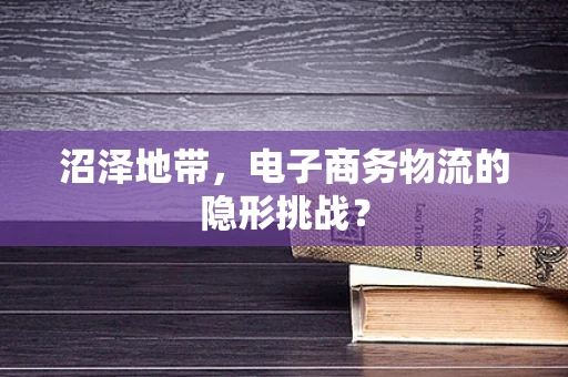 沼泽地带，电子商务物流的隐形挑战？