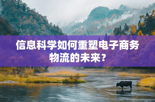 信息科学如何重塑电子商务物流的未来？