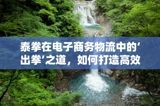 泰拳在电子商务物流中的‘出拳’之道，如何打造高效、防卫的配送体系？