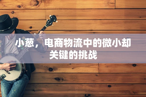 小葱，电商物流中的微小却关键的挑战