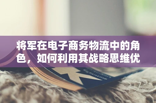 将军在电子商务物流中的角色，如何利用其战略思维优化配送网络？