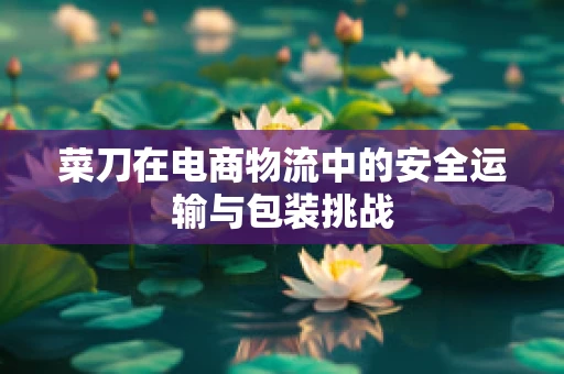 菜刀在电商物流中的安全运输与包装挑战
